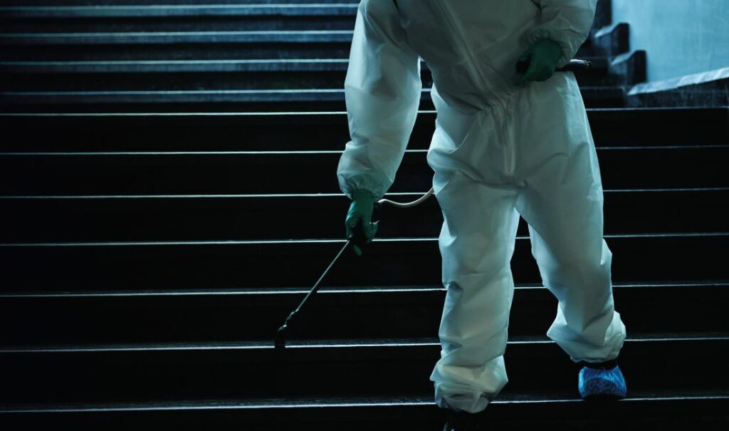 Ekoverden disinfestazione con affumigazione