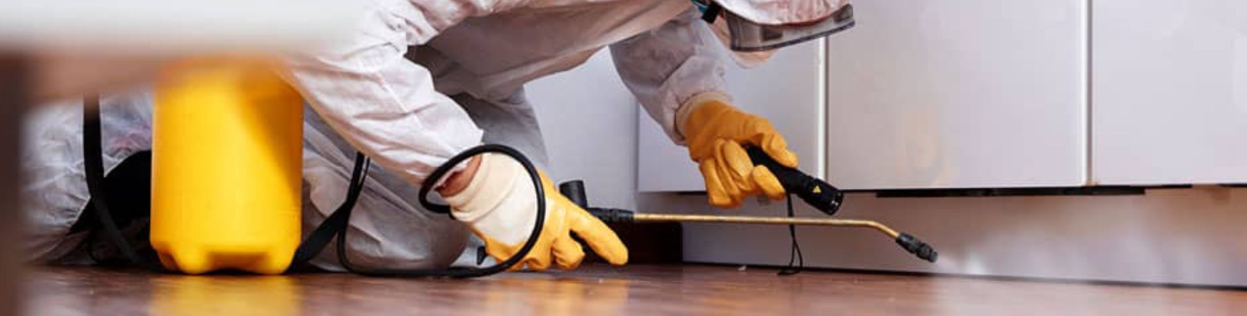 servizi professionali di derattizzazione