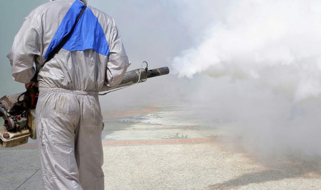 Deblattizzazione con termonebbiogeno: come liberarsi definitivamente dalle blatte