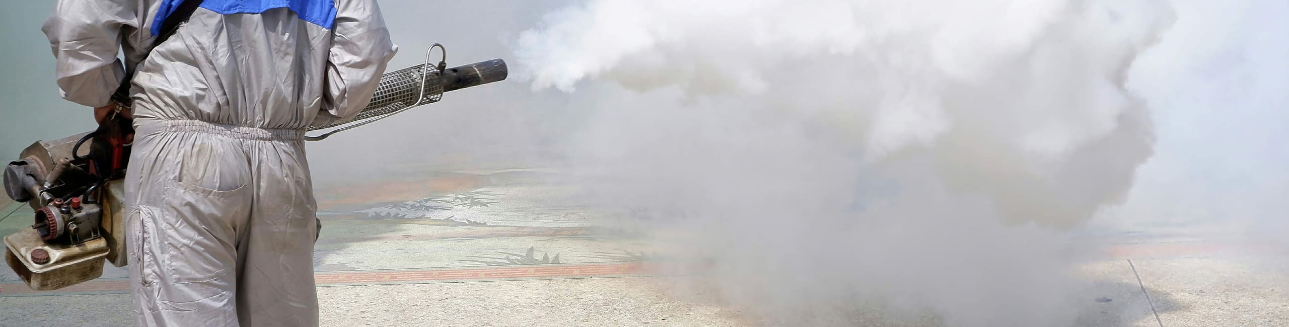 Deblattizzazione con termonebbiogeno: come liberarsi definitivamente dalle blatte