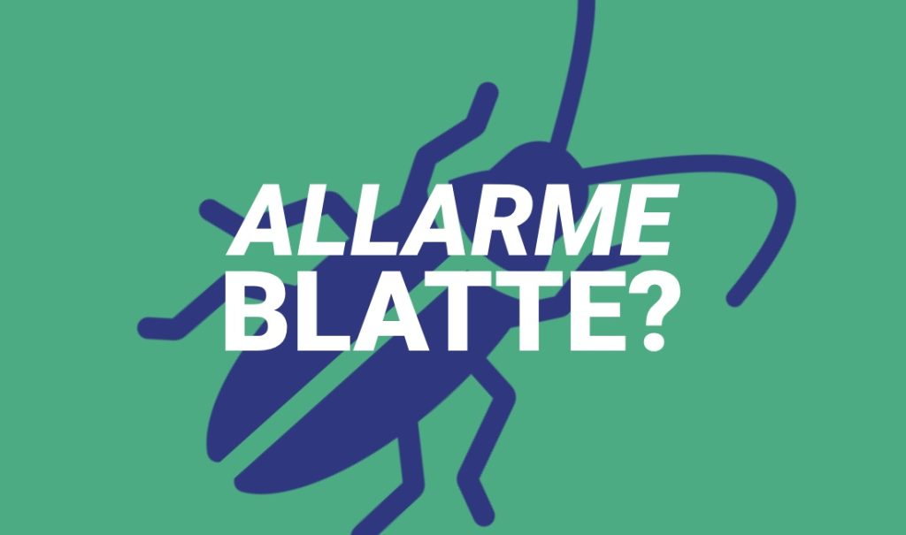 Infestazione di blatte nel tuo locale? Scopri i consigli e le soluzioni per eliminarle