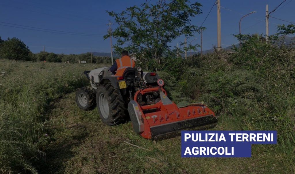 Pulizia terreni agricoli: come e quando farla?