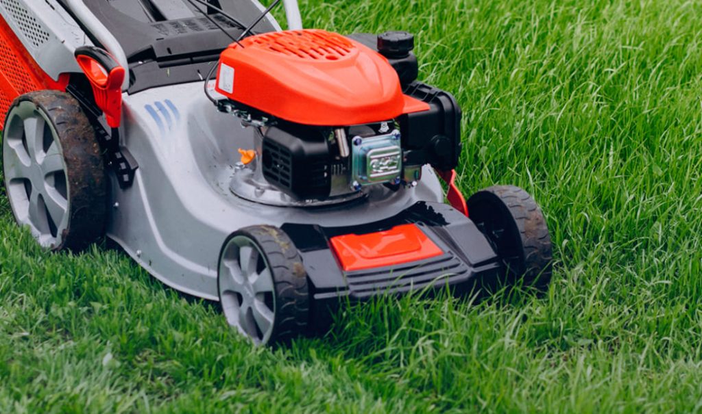 Giardino in disordine? Scopri i 5 interventi fondamentali per mantenerlo pulito in estate