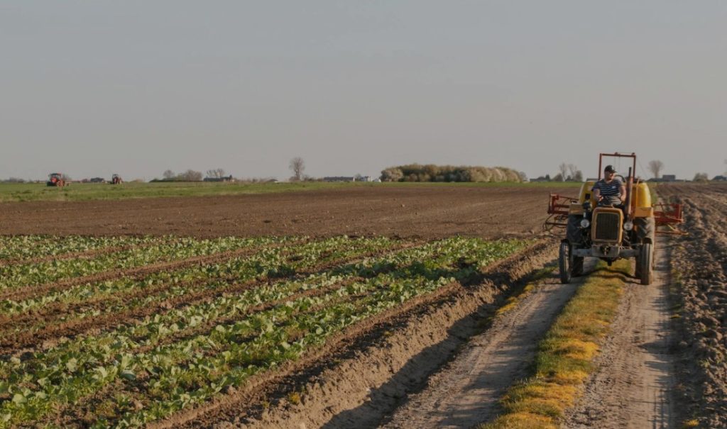 Pulizia terreni agricoli e linee tagliafuoco: come prevenire incendi, sanzioni e danni