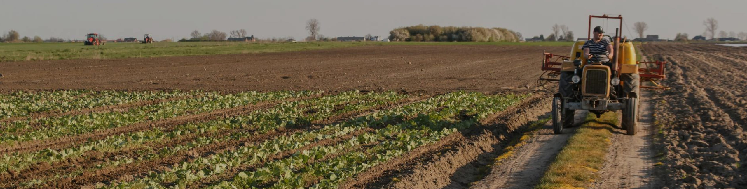 Pulizia terreni agricoli e linee tagliafuoco: come prevenire incendi, sanzioni e danni