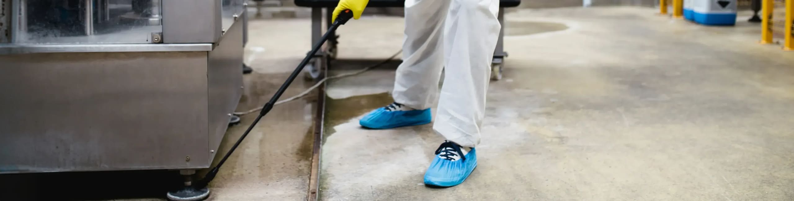 Pest control aziendale: perché la prevenzione è fondamentale per la sicurezza e la continuità operativa