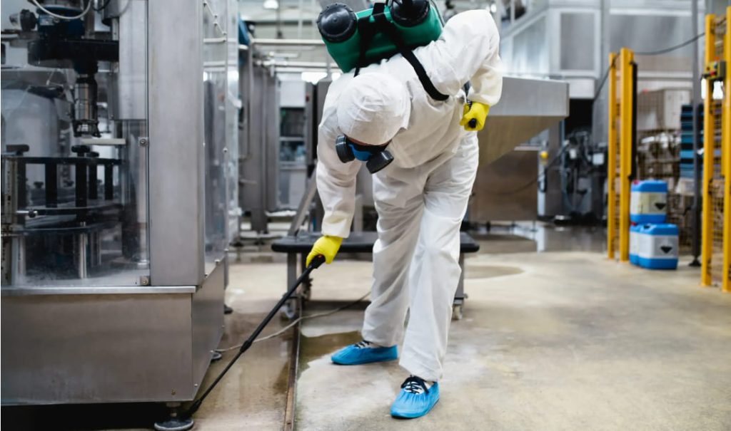 Pest control aziendale: perché la prevenzione è fondamentale per la sicurezza e la continuità operativa
