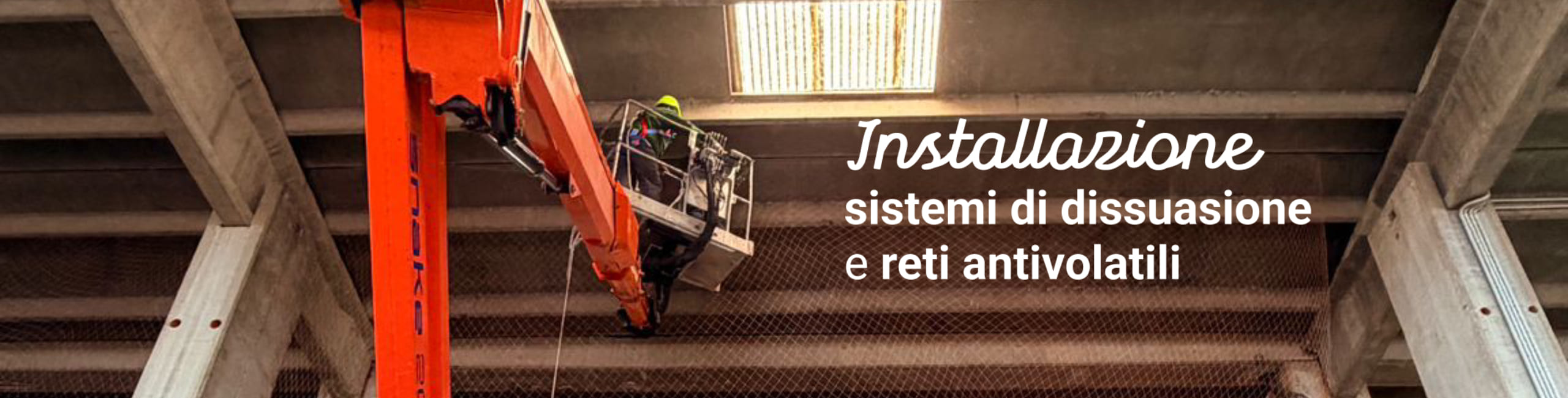Installazione reti antivolatili per depositi e capannoni: come proteggere merci e strutture senza bloccare l’operatività